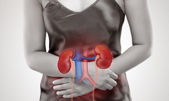 什么习惯会让肾脏提前衰老 如何让你的肾更加健康-很美的