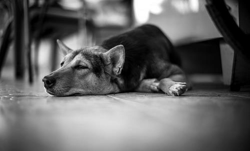 生活懒散竟也有那么多危害!-很美的