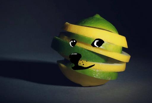 如何快速治疗强迫症-很美的