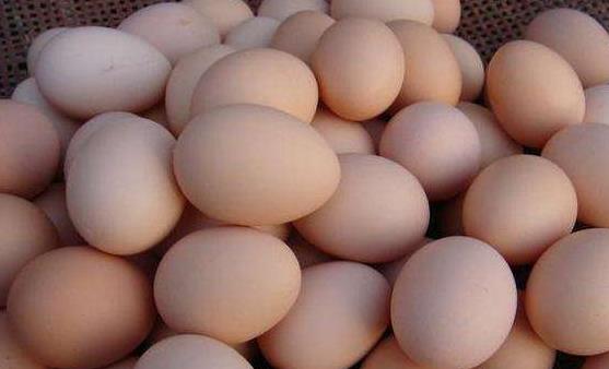 生活中容易入坑的10个小常识 信了你就输了-很美的