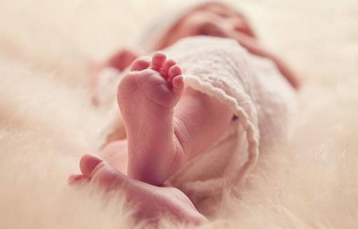 明确胎儿心脏发育的过程 让你的胎儿远离先天性心脏病-很美的