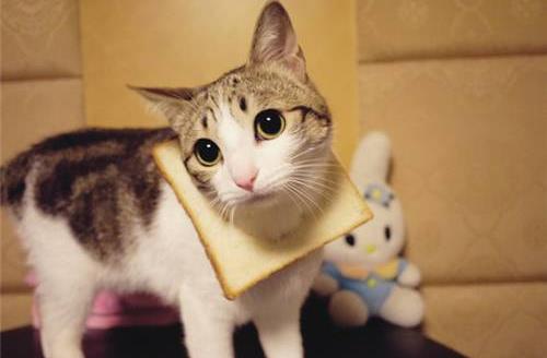 性格太好强容易患高血压?-很美的