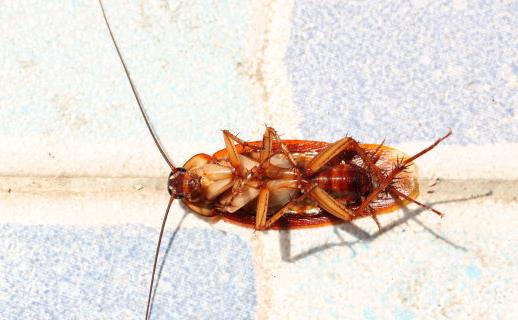 潜藏致癌风险的日常生活用品 买类似用品要看成分-很美的