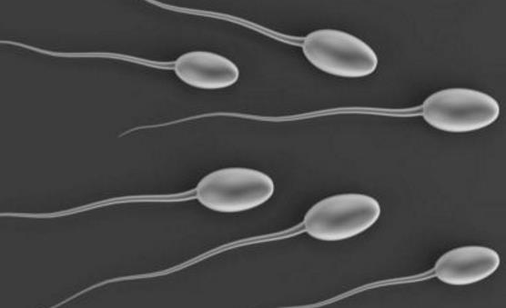 影响精子成活率的习惯 经常熬夜的男子记住要改一改-很美的