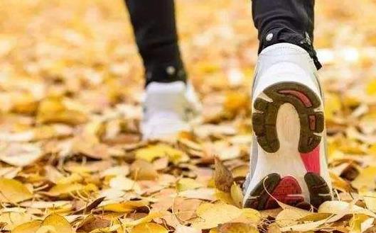 上班族秋季养生小常识 白领人士首选食补方案-很美的