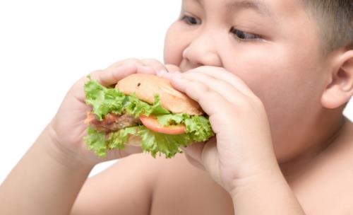 儿童期肥胖不断增加 三个年龄段要警惕小儿发胖趋势-很美的