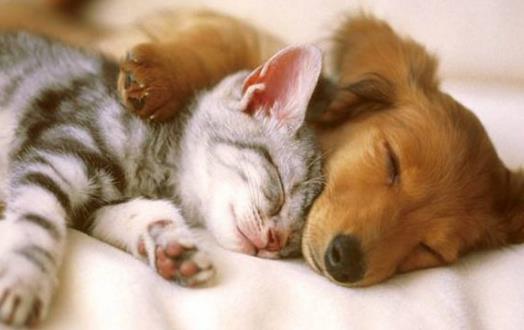 不想生出畸形宝宝 这些事情就别做-很美的