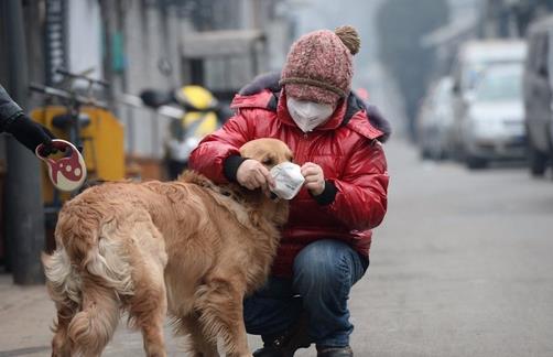 哪种情况下需要戴口罩-很美的