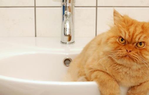 强迫性神经症有哪些症状-很美的