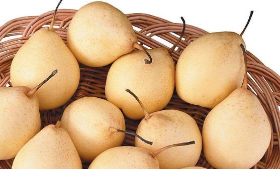 年轻的女性保养卵巢 保养卵巢需要吃的十种食物-很美的