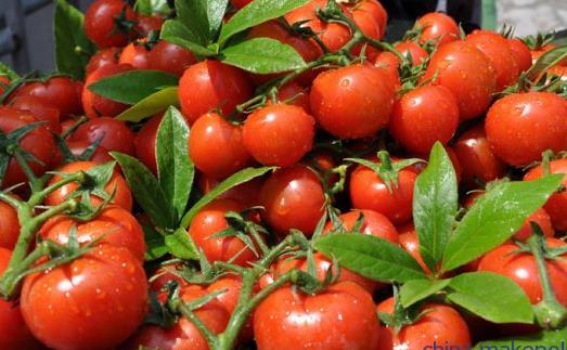 男性备孕 可以提高精子质量的食物-很美的