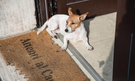 细菌入侵危害身体 十大容易出现细菌的地方-很美的