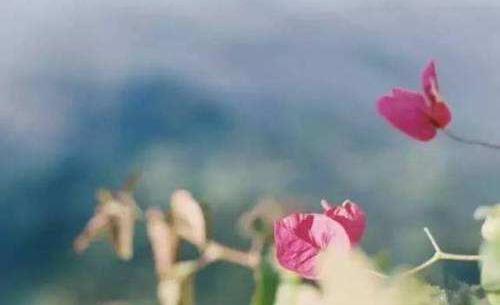 一定要坚持这些卫生习惯-很美的