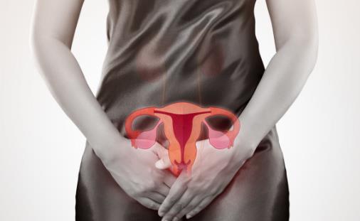 子宫是女人的第二张脸 女性子宫日常护理要点-很美的