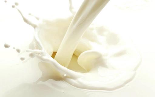 这十款食物 是不可多得的孕期补钙佳品-很美的