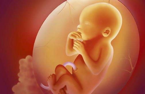 孕期关于胎儿头部的测量指标 胎儿头小的原因-很美的