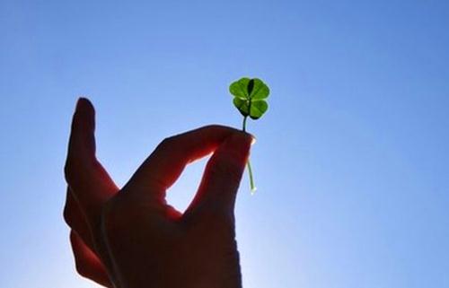 职场新人别太狂傲 细数新人狂傲事例-很美的