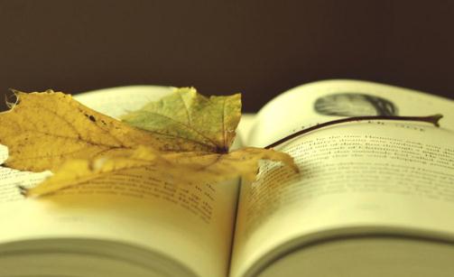 求职路上不要踩到这些雷区-很美的