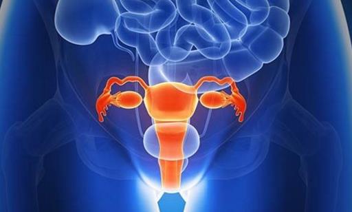 先天性无阴道的治疗方法 先天性无阴道造成的危害-很美的