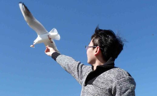 拥有这些心态更容易找到好工作-很美的