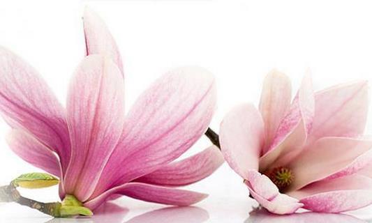 盘点妇科疾病会带来的危害-很美的