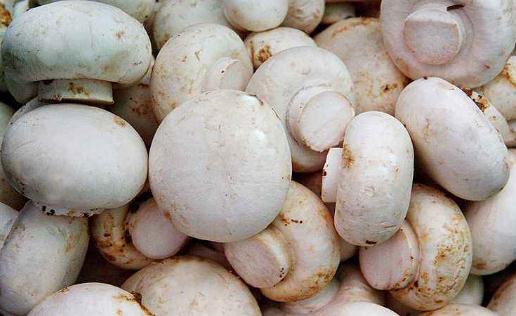 女性秋冬如何养阴 入秋女性进补九大忌-很美的