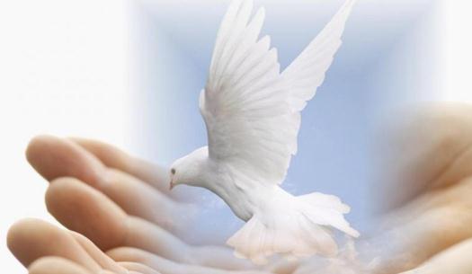 为什么求职失败?来找找失败的原因-很美的