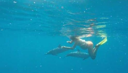 美国夫妇准备海中分娩,让海豚来接生-很美的