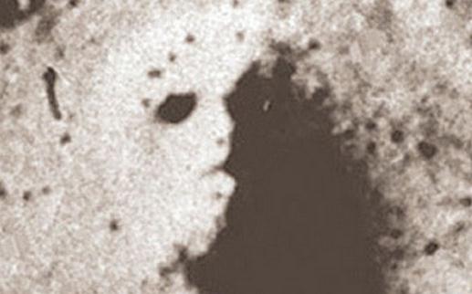 火星的“上帝之脸”是“古代雕像”?-很美的