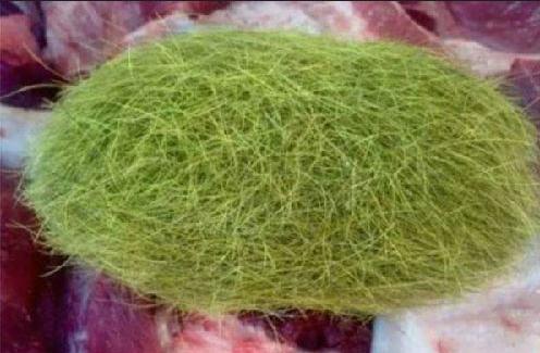 母猪肚中掏出620克价值600万“怪蛋”-很美的