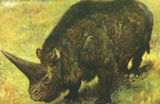 大揭秘:史前动物你知道多少?-很美的