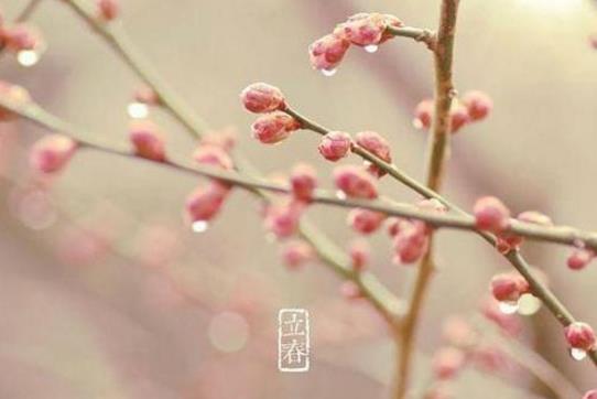 2019年立春是农历几月几日 2019年立春时间-很美的