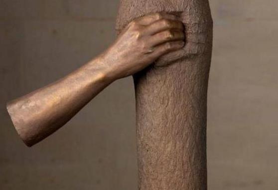 世界上最孤独的手 握了半个世纪树干 游客却说太残忍-很美的