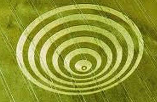 麦田怪圈的真相-很美的