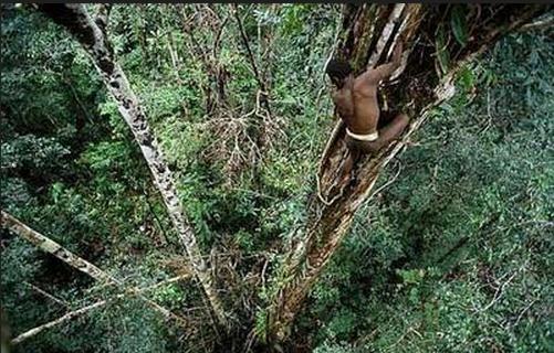 世界上,最后的石器时代-很美的