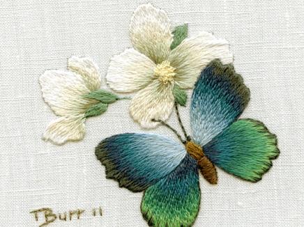 你可能不知道的中国名绣-很美的