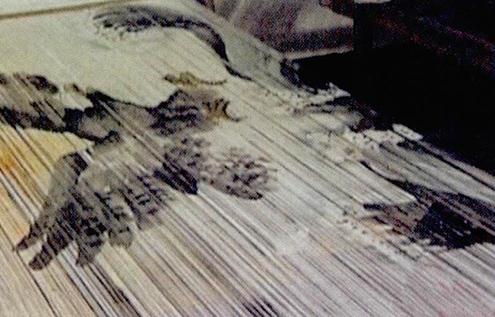 永春纸织画的魅力-很美的