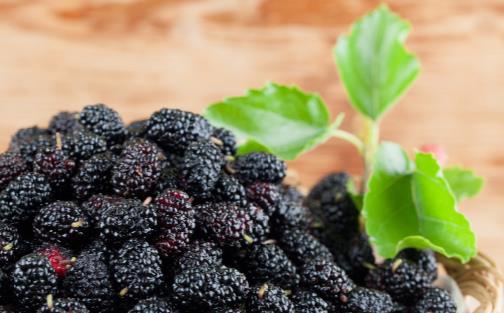 皱纹是女人一生最烦恼的 吃几款美食粥竟可轻松除皱-很美的