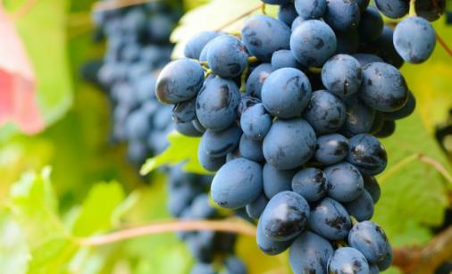 聪明女人补水护肤法则