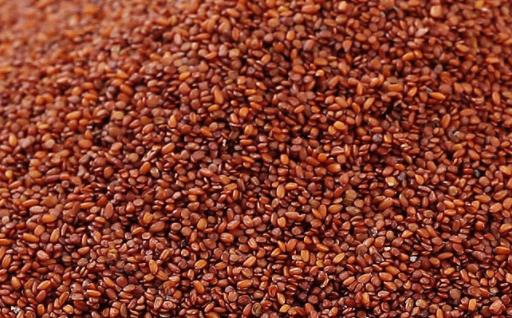 敷完海藻面膜还需要用洗面奶吗 纯牛奶泡海藻面膜禁忌-很美的