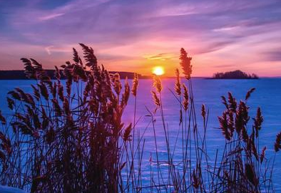 形容开心激动的句子 兴奋喜悦激动心情句子