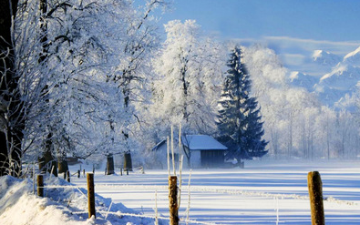 佛语渡人的句子(佛经中最有禅意的句子)-很美的