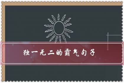 独一无二的霸气句子（野性霸气干净社会句子）