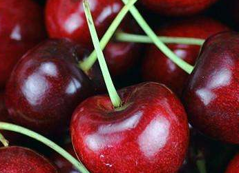 4j车厘子还是3j的好-很美的