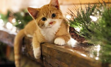 调侃朋友的幽默句子(损朋友的带幽默)