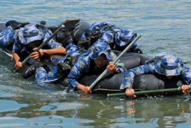 空降兵不属于什么军种 海军陆战队有空降兵吗-很美的