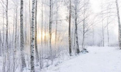 测试你潜意识喜欢谁 三幅雪景图让你明白自己的心意-很美的