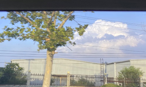 抖音你骄傲的飞远我栖息的夏天是什么歌?任然的歌都很好听-很美的