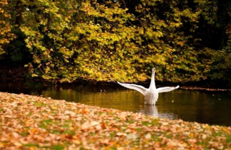 秋风凉爽的唯美句子 秋风的唯美说说
