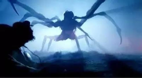 大蜘蛛进家里代表什么